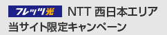 NTT西日本エリア　当サイト限定キャンペーン